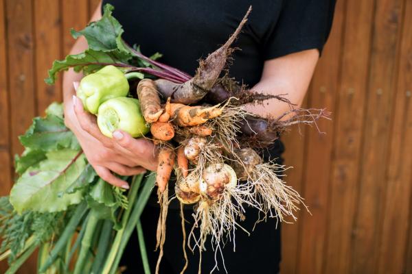 Person holding a bundle of vegetables straight from the garden.