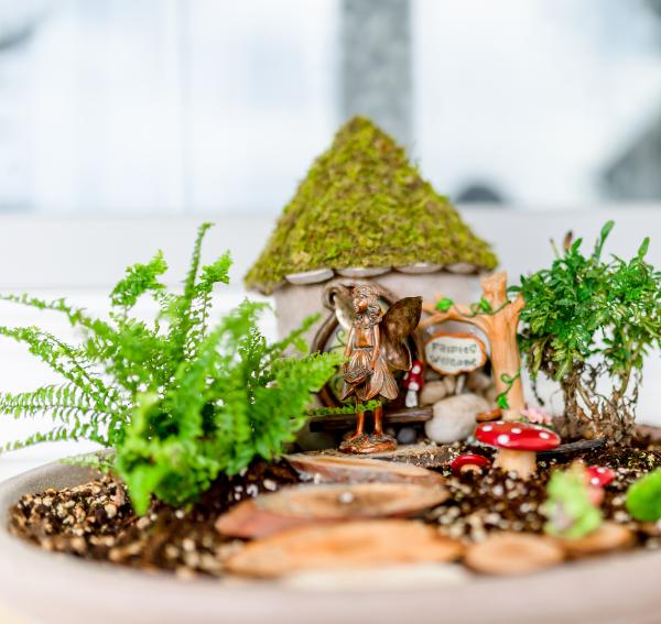 Fairy garden craft