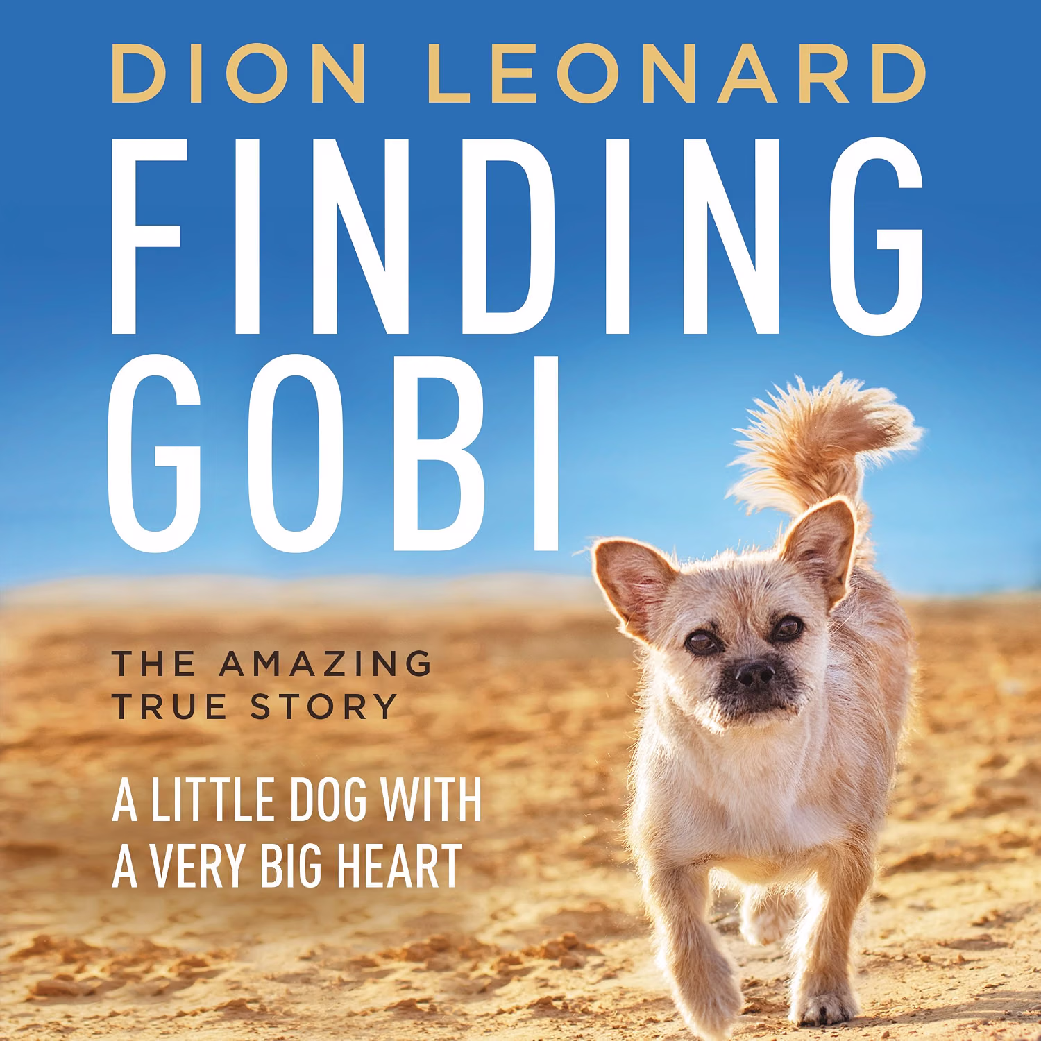 Dion Leonard. Finding Gobi. The amazing true story. A little dog with a very big heart.