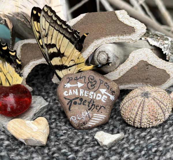 A collection of painted and textured rocks and buttflies against a wool rug.