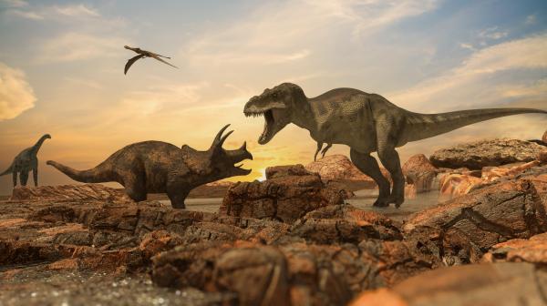 Artists rendering of a T-Rex and Triceratops in the midst of battle.